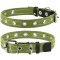 Collar, Zgarda caini adimensionala, 25mm latime, 53cm lungime, verde, (6755)