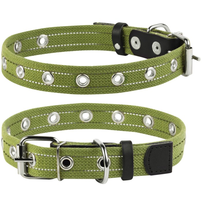 Collar, Zgarda caini adimensionala, 25mm latime, 53cm lungime, verde, (6755)
