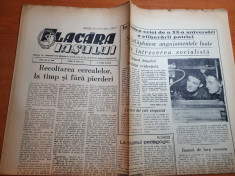 flacara iasului 10 iulie 1964-articol si foto orasul timisoara,plaiuri banatene foto