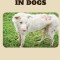 Pyoderma in Dogs