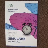 CLASA A XI A SIMULARE MATEMATICA - MARIANA TATUCU, EMILIA RADUCAN, DENISA NECIU