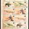 Indonezia 2000 WWF, Mi #2005-2008 Klb**, Varan Komodo, minicoala, MNH! Cota 8 &euro;!