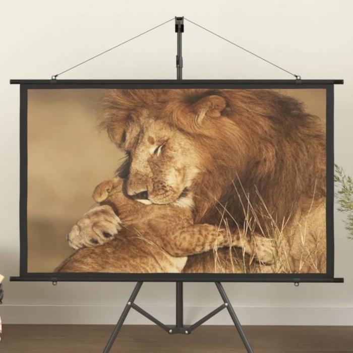 Ecran de proiecție 60&quot; 16:9