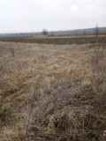Teren intravilan constructii 1739 mp case Dragomiresti, 5556 mp total, utilitati gaze, apa, curent, 7 km Targoviste, Dambovita