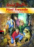 F&uuml;nf Freunde - 3 Abenteuer in einem Band