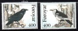 FEROE 1995, Fauna, Pasari, serie neuzata, MNH