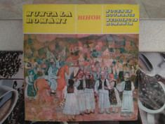 Vinyl - Nunta La Romani - Nr.3 Bihor, Album 2LP&amp;#039;s, Made in Romania. foto