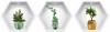 Sticker 3D Perete Nise Hexagonale Plante Decorative, Autocolant Decorativ Casa, Verde Proaspat
