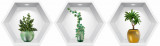 Sticker Plante Decorative 3D - Nise Hexagon in Perete