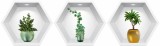 Sticker 3D Perete Nise Hexagonale Plante Decorative, Autocolant Decorativ Casa, Verde Proaspat