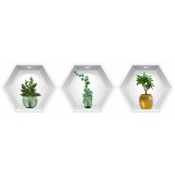Sticker Plante Decorative 3D - Nise Hexagon in Perete