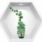 Sticker Plante Decorative 3D - Nise Hexagon in Perete
