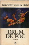 Drum de foc - Henriette Yvonne Stahl, editura Minerva, 1981, 335 pagini, literatura clasica, romane celebre