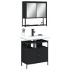 VidaXL Set mobilier de baie, 2 piese, negru, lemn compozit 3214655