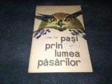 IONEL POP - PASI PRIN LUMEA PASARILOR