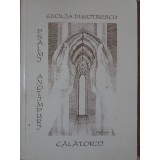 PSALMI. ANOTIMPURI. CALATORII-EMILIA DUMITRESCU-234820
