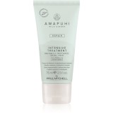 Paul Mitchell Awapuhi Wild Ginger Repair Intevsive Treatment tratament intensiv pentru par pentru par deteriorat 75 ml