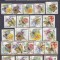DB1 Fauna Fluturi 1967 Fujeira 27 v. MNH