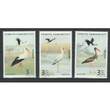 TURCIA 2020 FAUNA PASARI BERZE