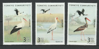 TURCIA 2020 FAUNA PASARI BERZE foto