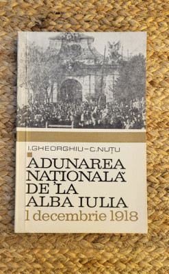 Adunarea nationala de la Alba Iulia - 1 decembrie 1918 - I. Gheorghiu foto