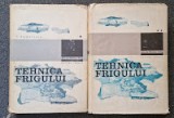 TEHNICA FRIGULUI - Stamatescu (2 volume)