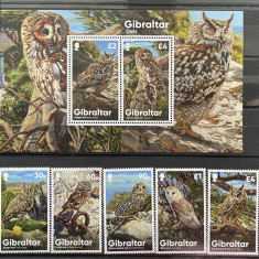 PC141 - Gibraltar 2020 Fauna/ Pasari Bufnite, serie + colita MNH, 5v + 2v
