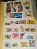 Lot Tematic Mamifere și Animale Sălbatice - Lup, Urs, Elefant, Cerb, Ajman, Polonia, 28v -A333