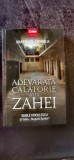 Marius Oprea - Adevărată călătorie a lui Zahei. Vasile Voiculescu și taină "Rugului Aprins"