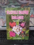 Plantele noastre &icirc;ndrăgite, editura Aquia 93, Oradea 1996, 004