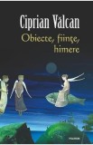 Cumpara ieftin Obiecte, fiinte, himere - Ciprian Valcan