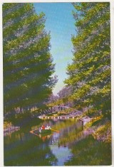 bnk cp Pitesti - Vedere din Parcul Arges - necirculata