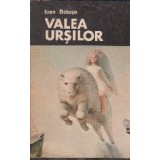 Valea ursilor