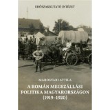 A rom&aacute;n megsz&aacute;ll&aacute;si politika Magyarorsz&aacute;gon (1919-1920) - Marosv&aacute;ri Attila, 2024