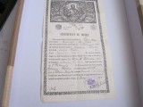 Certificat de botez 1941 posesor butu adriana florica la biserica pitar mosi cp2