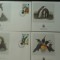 Falkland-Fauna,pinguini-set complet FDC