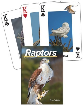 Raptors Playing Cards foto