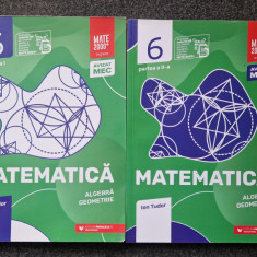 MATEMATICA ALGEBRA GEOMETRIE CLASA A VI-A - Ion Tudor (2 volume)