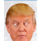 Masca Party Donald Trump - 28 X 21 cm, Radar DTRUM02