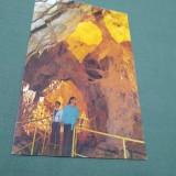 Cumpara ieftin CARTE POSTALA BIHOR-PESTERA URSILOR CHISCAU NECIRCULATA
