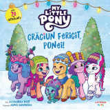 My Little Pony. Craciun Fericit, Ponei!, Litera