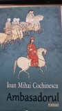 Ambasadorul - Ioan Miha Cochinescu