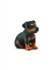 Catelus Rottweiler - Collecta