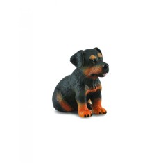 Catelus Rottweiler - Collecta