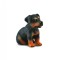 Catelus Rottweiler - Collecta