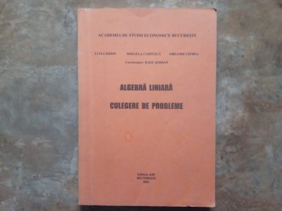 ALGEBRA LINIARA - CULEGERE DE PROBLEME - LUIZA BADIN , 2001 foto