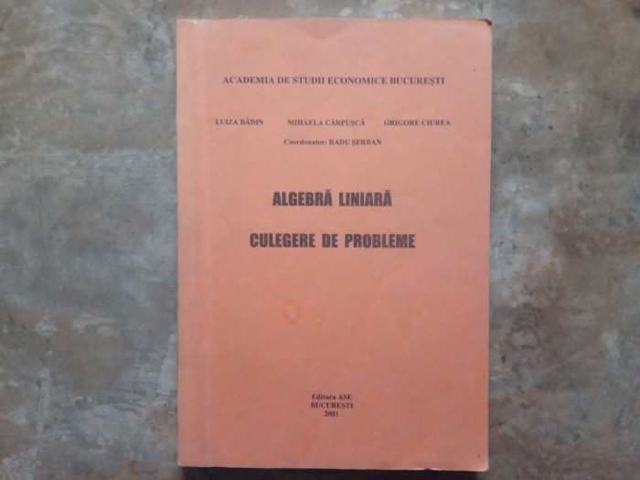 ALGEBRA LINIARA - CULEGERE DE PROBLEME - LUIZA BADIN , 2001