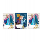 Set 3 caiete de matematica A5, 16 file model Frozen II