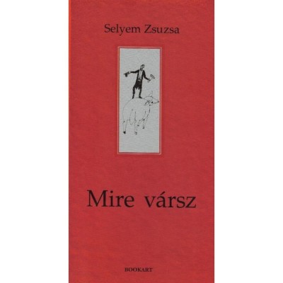 Mire v&amp;aacute;rsz - Selyem Zsuzsa foto