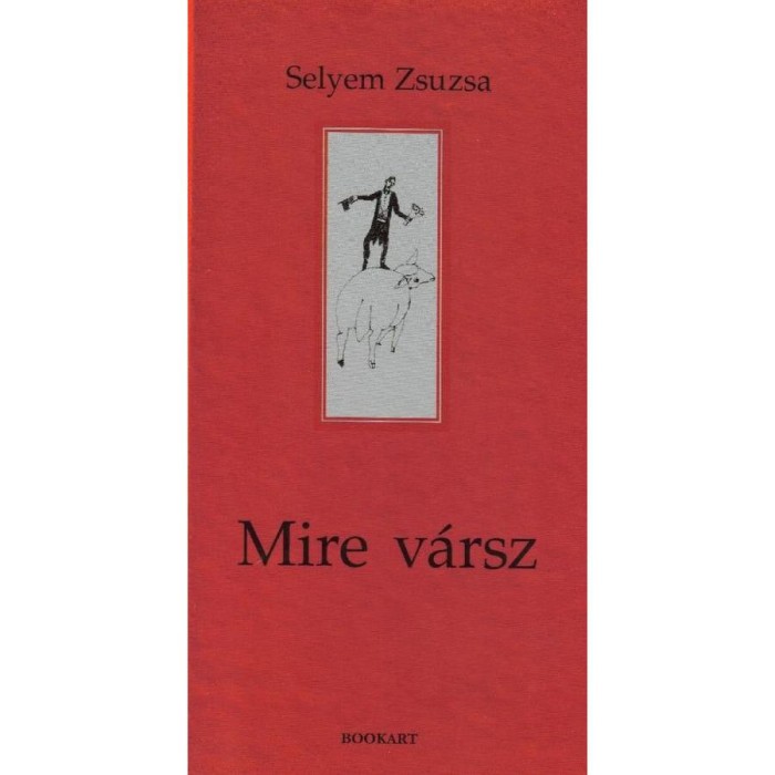 Mire v&aacute;rsz - Selyem Zsuzsa